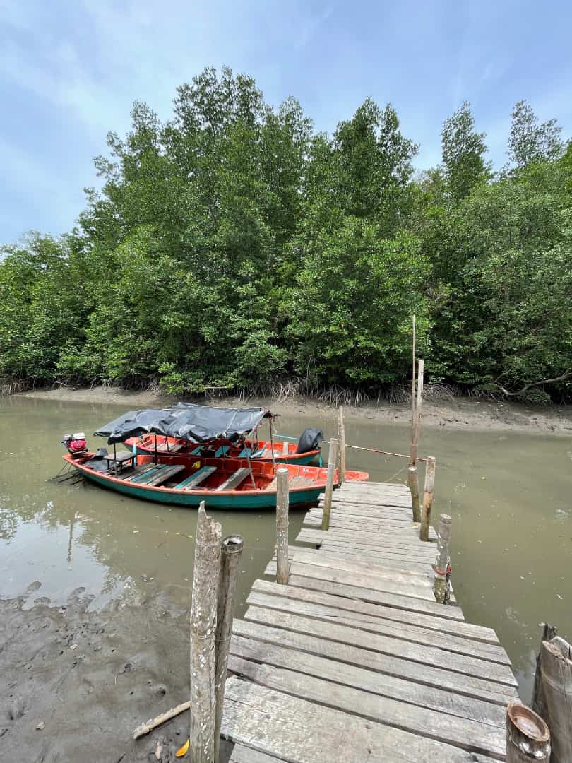 golden mangrove-forest-carousel-4