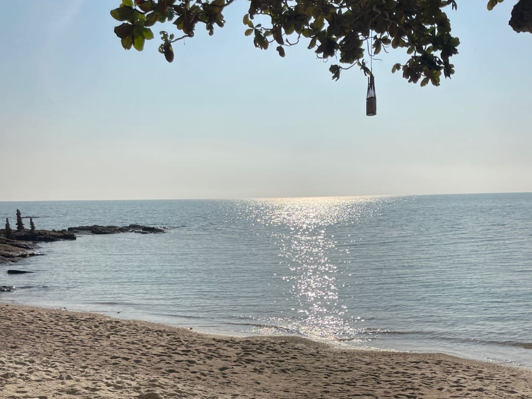 koh samed-red-tree